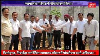चितौड़गढ़ जिला अभिभाषक संस्थान द्वारा संस्थान परिसर में पौधारोपण किया गया