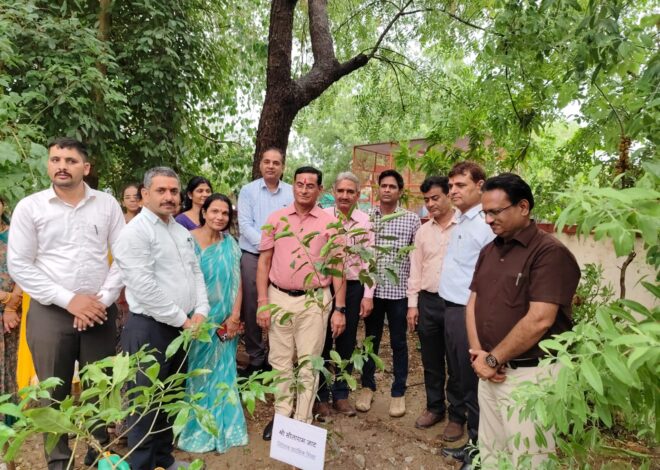 प्रारंभिक शिक्षा निदेशक सीताराम जाट ने जिला शिक्षा अधिकारी प्रारंभिक कार्यालय का निरीक्षण किया