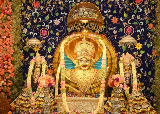 पूरी श्रद्धा एवं उत्साह के साथ 20 वां कल्याण महाकुंभ सानंद संपन्न, शयन आरती तक दर्शनार्थियों का लगा रहा तांता